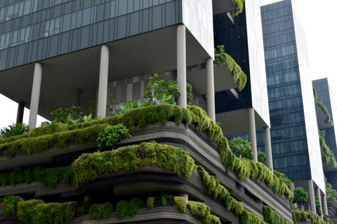ISO Management Systems services