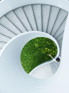 Safety Management services